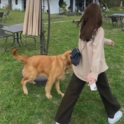 成龙的特技