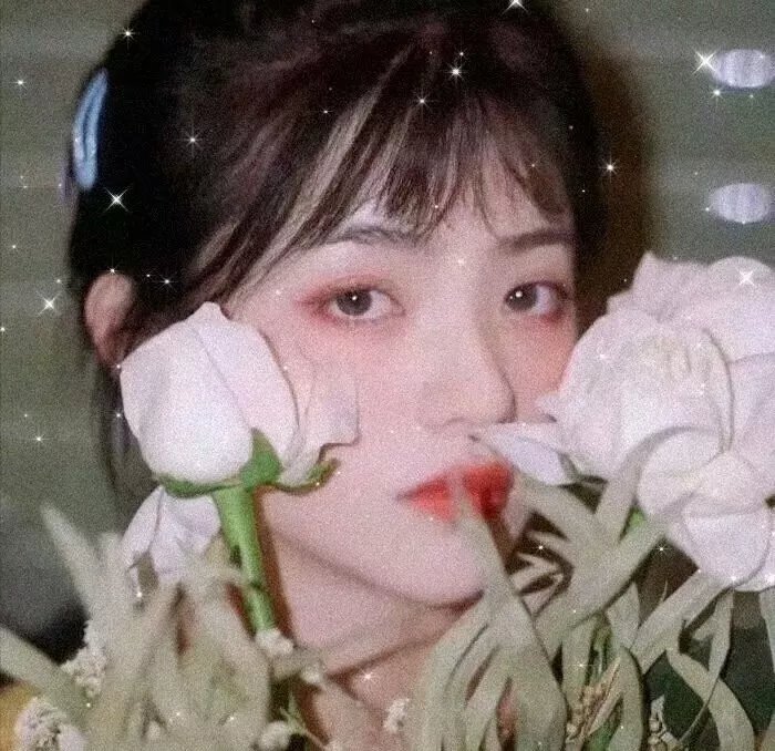 追捕刺客